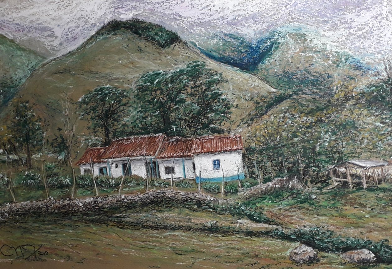 ANDEAN LANDSCAPE - LLANO LARGO VENEZUELA af miguelmendez_art.ve