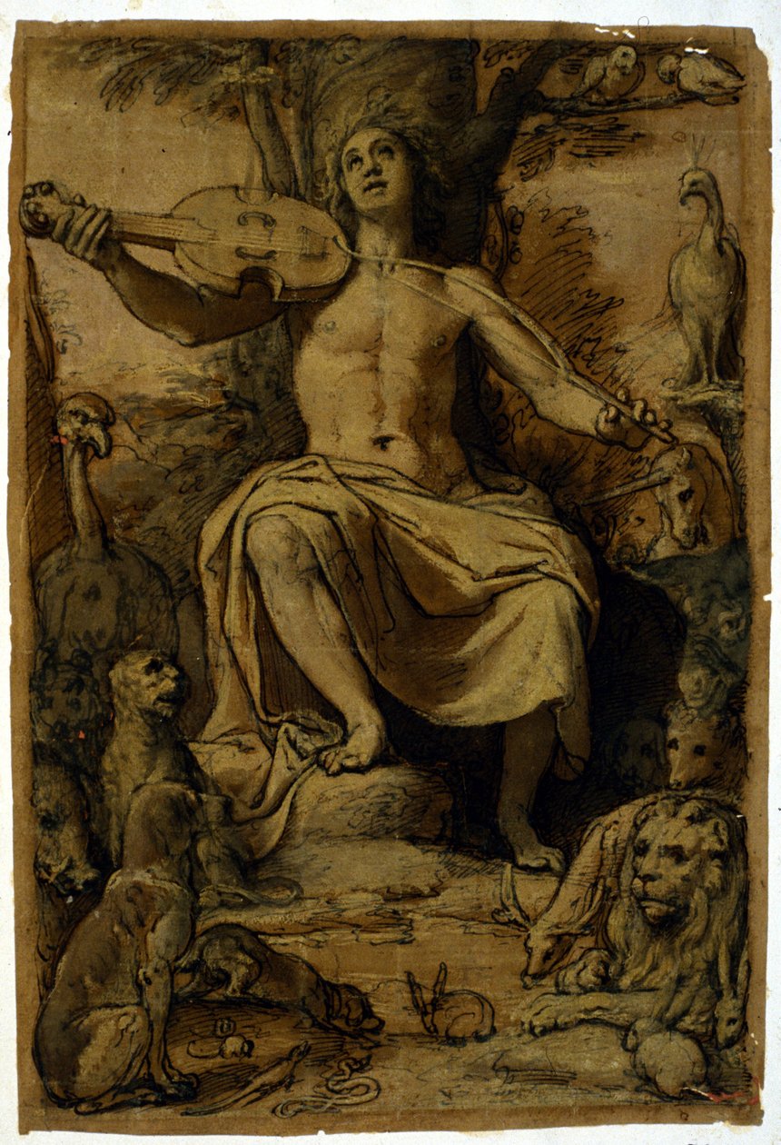 Orpheus fortryller dyrene med musikken fra en violin. Tegning af Federico Zuccari (1542 - 1609). af or Zuccaro Federico Zuccari