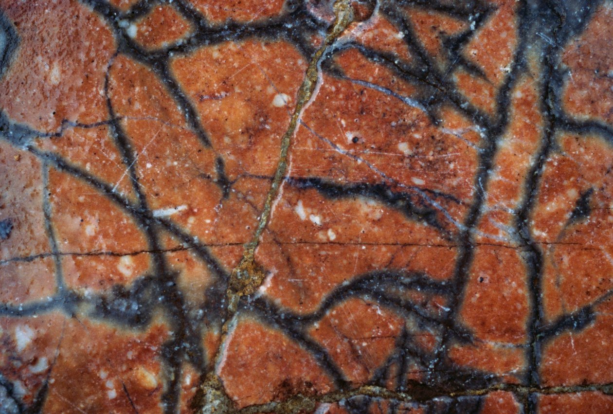 Marmorgulv, detaljer, Hadrians villa, 2. århundrede e.Kr., Tivoli, Lazio, Italien (foto) af Unbekannt Unbekannt