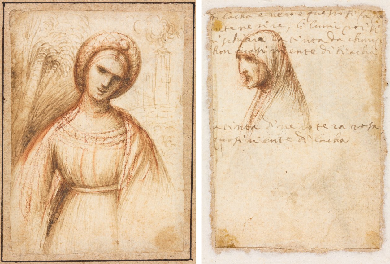Dame i et Landskab (recto); Bust-længde profil af en gammel kvinde (verso) af possibly by Dosso Dossi