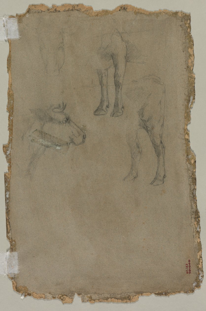 Studier af en tyr (verso) af possibly by Johan Barthold Jongkind