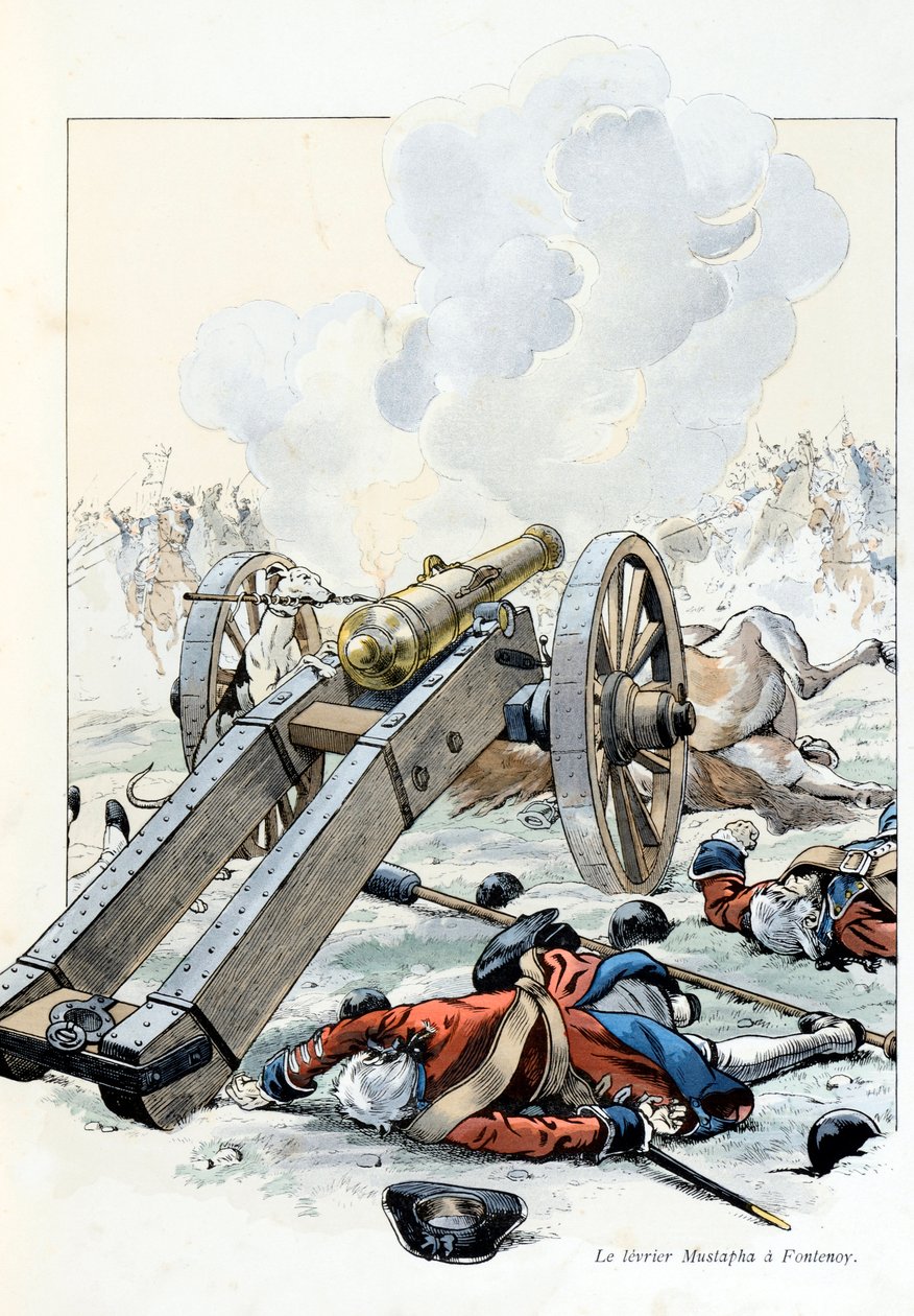Illustration fra bogen "A la gloire des betes"" tekst af A Fabre, tegninger af Jacques Marie Gaston Onfray de Breville dit JOB (1858-1931), forlag Maison Alfred Mame et fils: War of the Austrian Succession: the yeast Mustapha in Fontenoy af pseudonym for Onfray de Breville Jacques Job