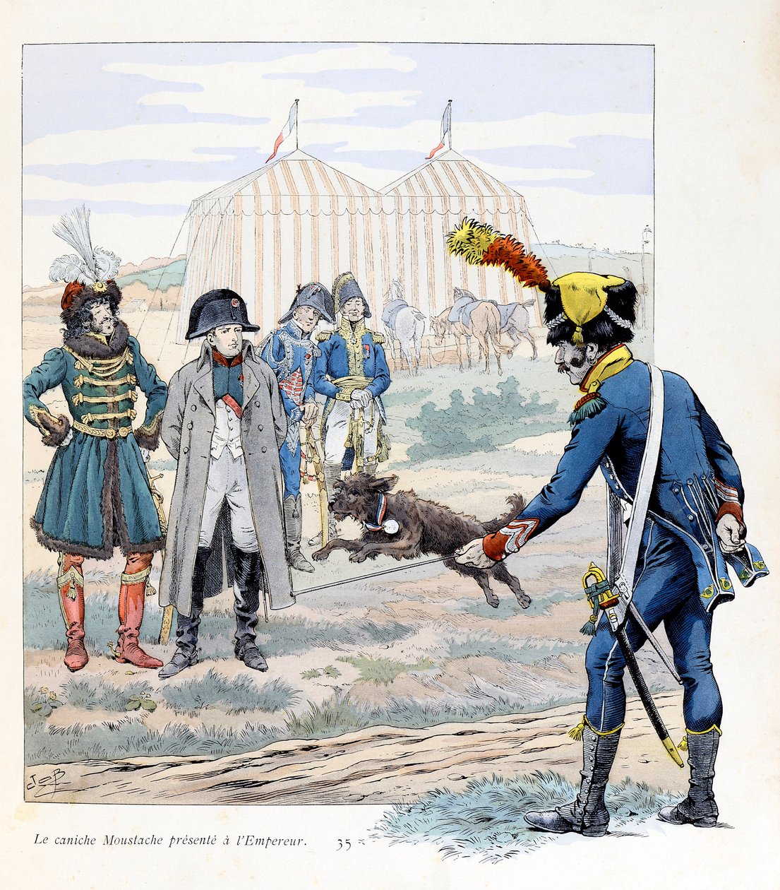 Illustration fra bogen "A la gloire des betes"" tekst af A Fabre, tegninger af Jacques Marie Gaston Onfray de Breville dit JOB (1858-1931), forlag Maison Alfred Mame et fils: Overskægspudlen præsenteret for kejseren (Napoleon I ) (han reddede et flag af pseudonym for Onfray de Breville Jacques Job