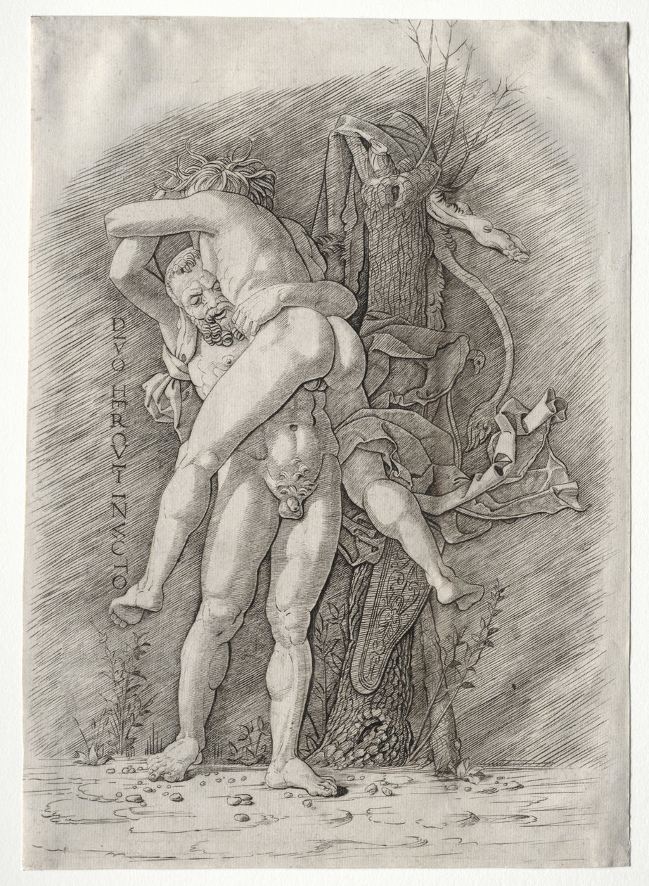 Hercules og Antaeus af school of Andrea Mantegna