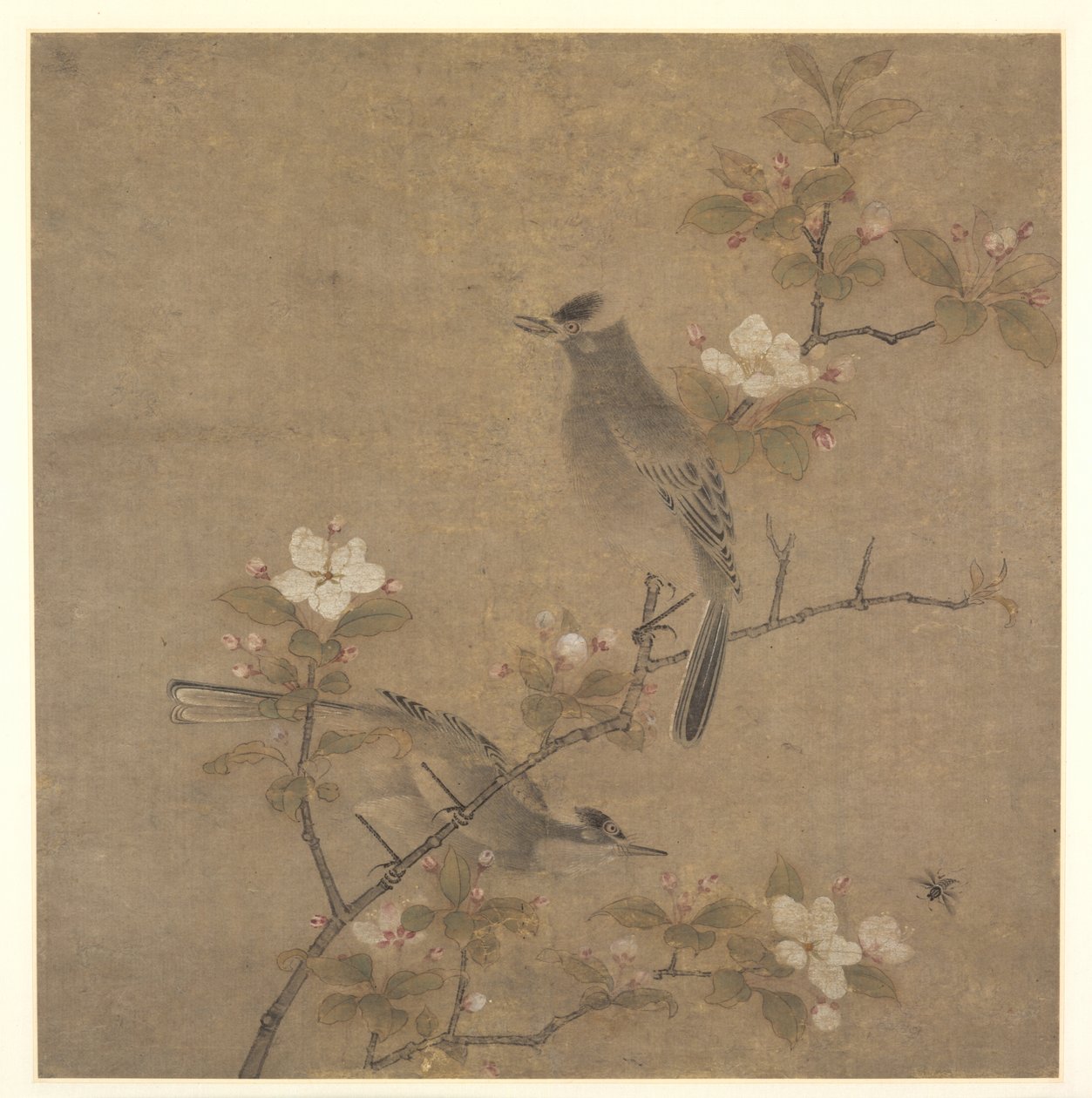 Blomster og Fugle af style of Qian Xuan
