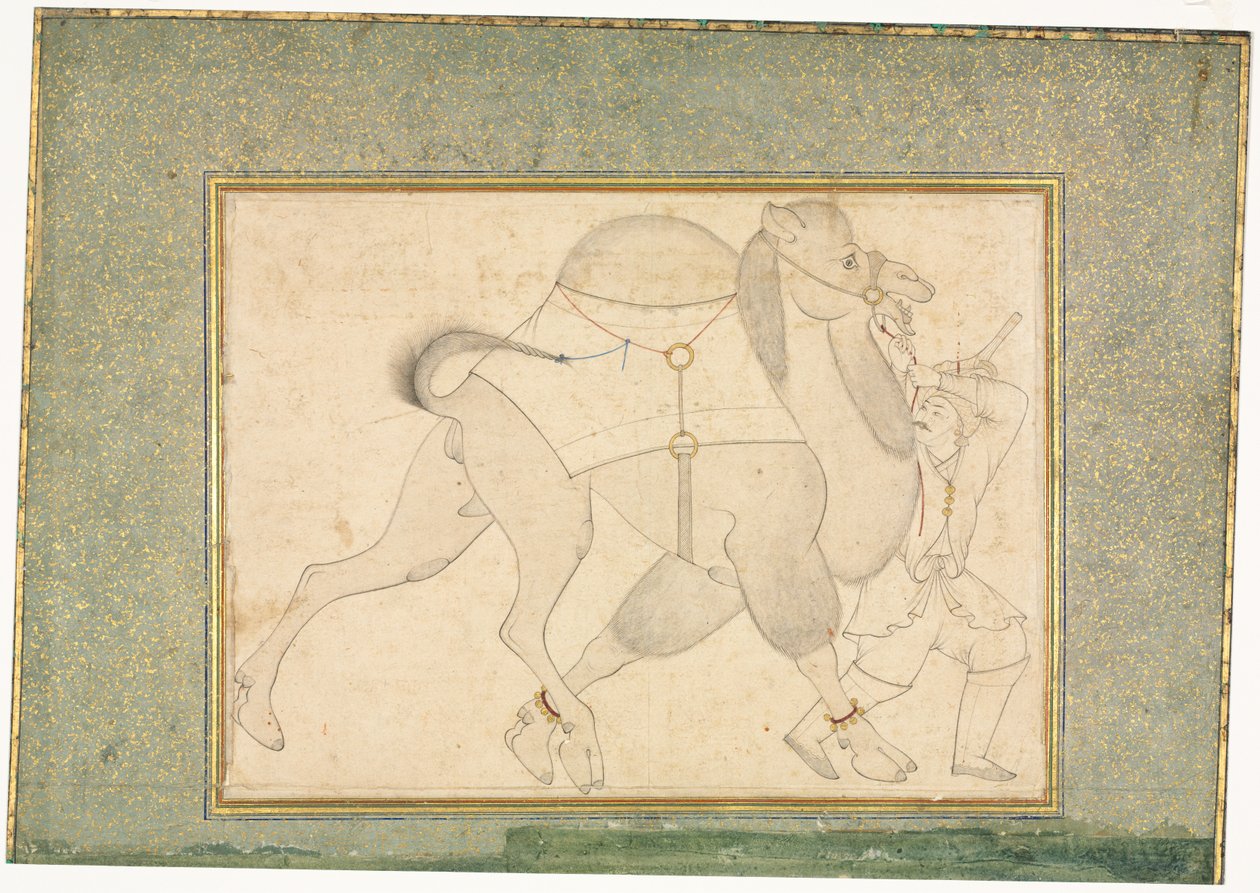Kamel og Brudgom; Enkeltsideillustration af style of Shaykh Muhammad