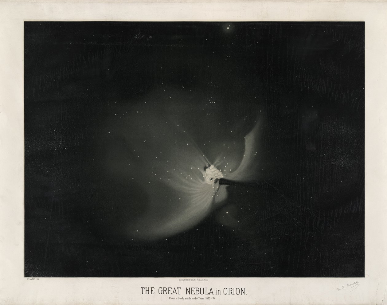 Den store tåge i Orion. Fra en undersøgelse foretaget i årene 1875-76. (Plade XV fra Trouvelot Astronomical Drawings 1881-1882) af Étienne Léopold Trouvelot