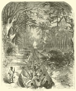 Negre på arbejde på kanalen, marts 1863 (gravering)