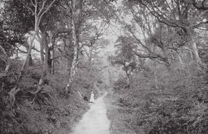 Fairlight Glen (s/h-foto) af (after) English photographer