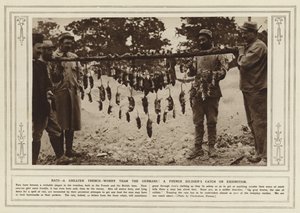 Rotter, en større skyttegravsbekymring end tyskerne! En fransk soldats fangst på udstilling (s/h foto) af (after) English photographer