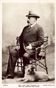Den afdøde kong Edward VII, med denne yndlingshund Cæsar (s/h foto)