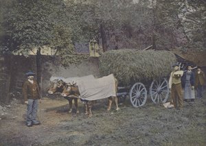 Attelag Bearnais (farvet foto) af (after) French Photographer