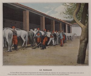 The Grooming (farvet foto) af (after) French Photographer