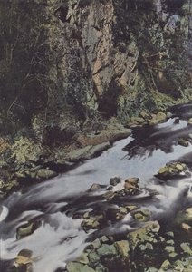 Gorges de la Cere i Lamativie (farvet foto) af (after) French Photographer