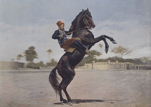 Nos Cavaliers (farvet foto) af (after) French Photographer