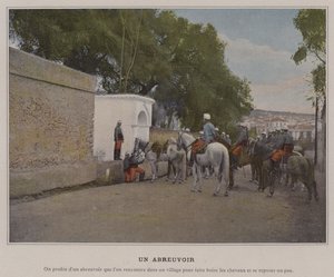 Vandingssted (farvet foto)