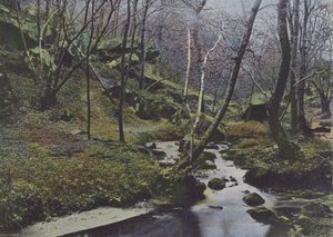Vaux de Cernay, Les Cascades (farvet foto) af (after) French Photographer