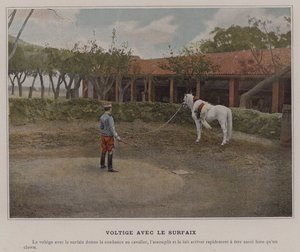 Vaulting med Surcingle (farvet foto) af (after) French Photographer