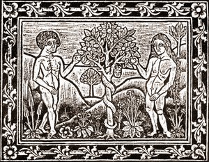 Træet, hvorfra Adam spiste æblet, faksimile fra en meditationsbog, den første bog trykt i Albi, Languedoc, i 1481 af (after) French School