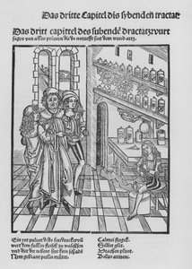 The Book of Cirurgia af Hieronymus Brunschwig (litho) af (after) German School