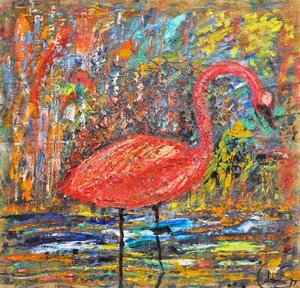 Flamingoens store skønhed
