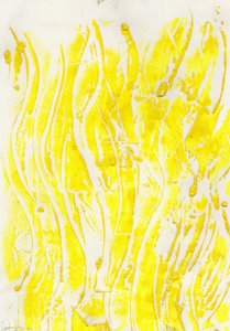 Solstorm