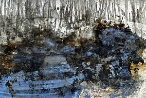 Walden af Detlef B. Fischer
