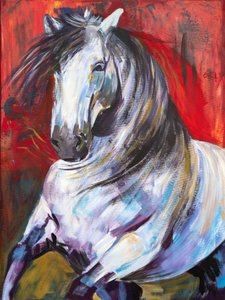 i galop