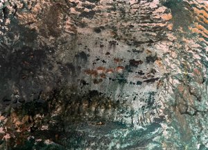 SEA FLOOR