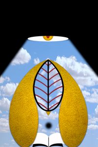 Oplysning V (Verdens lys II)