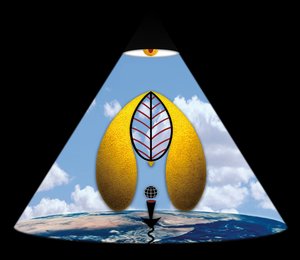 Im Anfang war das Wort (aus der Serie Lichtung) af Alexander Eibach