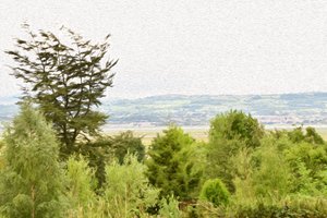 Oliemaleri i naturlandskabsstil af Albert Mansour