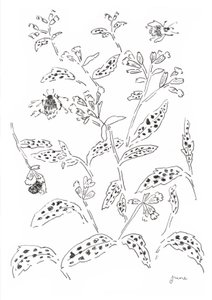Undersøgelse af humlebier og vilde blomster af june art