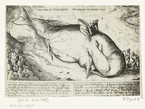 Print af den opvaskede hval nær Antwerpen, 2. juli 1577 af A.B. van Deinse