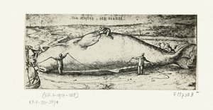 Print af den opvaskede hval nær Antwerpen, 2. juli 1577 af A.B. van Deinse