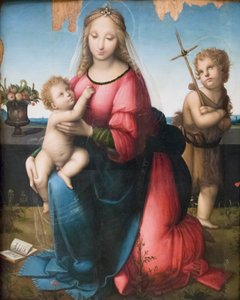 Madonna og barn med den unge St John, Andrea Piccinelli kendt som il Brescianino (olie på panel) af A. (1485 c.1525) Piccinelli