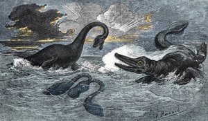 Plesiosaur og en ichthyosaur fra den nedre jura periode