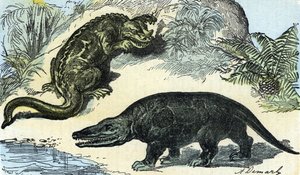Forhistorie: repræsentation af en iguanodon og megalosaurus fra kridtperioden