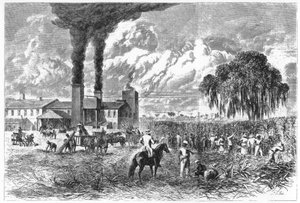 Sukkerplantage, New Orleans, 1870. af A. R. Ward