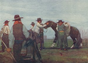 Gauchos bryder ind en ung hest, 1916 af A. S. Forrest
