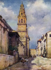 Cordova, Calle Cardinal Herrera (farve litho) af A. Trevor Haddon