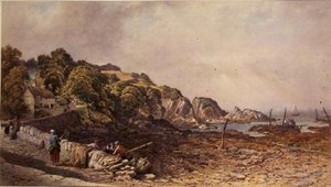 Lee nær Ilfracombe