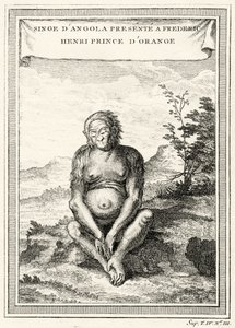 Illustration af den orangutang, der blev præsenteret for Frederik Henrik, prins af Orange, i 1750 af Abbé Prévost