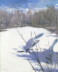 Blue Jays in Winter, studie til bogen Concealing Coloration in the Animal Kingdom, ca. 1905-1909. af Abbott Handerson Thayer