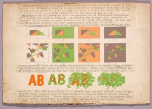Diagramm und Kupferkopfschlange, Studienmappe für das Buch Concealing Coloration in the Animal Kingdom