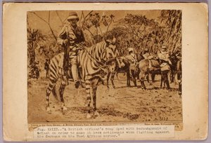 Horse and Cruiser Camouflaged, studiemappe til bogen Concealing Coloration in the Animal Kingdom (Skjult farve i dyreriget) af Abbott Handerson Thayer