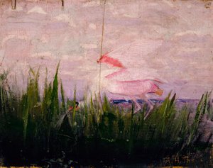Roseate Spoonbill, studie til bogen Concealing Coloration in the Animal Kingdom, ca. 1905-1909. af Abbott Handerson Thayer