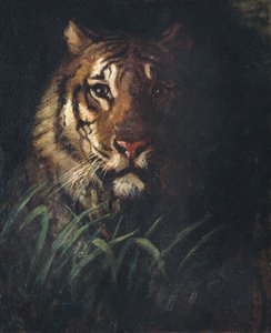 Tigerhoved, ca. 1874.
