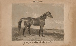 Aliwal, ejendom af Sir Harry Smith, Bart (litografi) af Abraham (after) Cooper