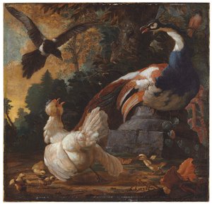 En påfugl, fjerkræ og en skate i et landskab, 1720 af Abraham Bisschop
